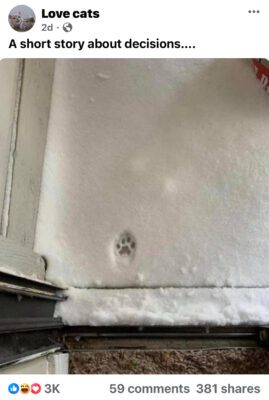 Single cat pawprint in the snow.